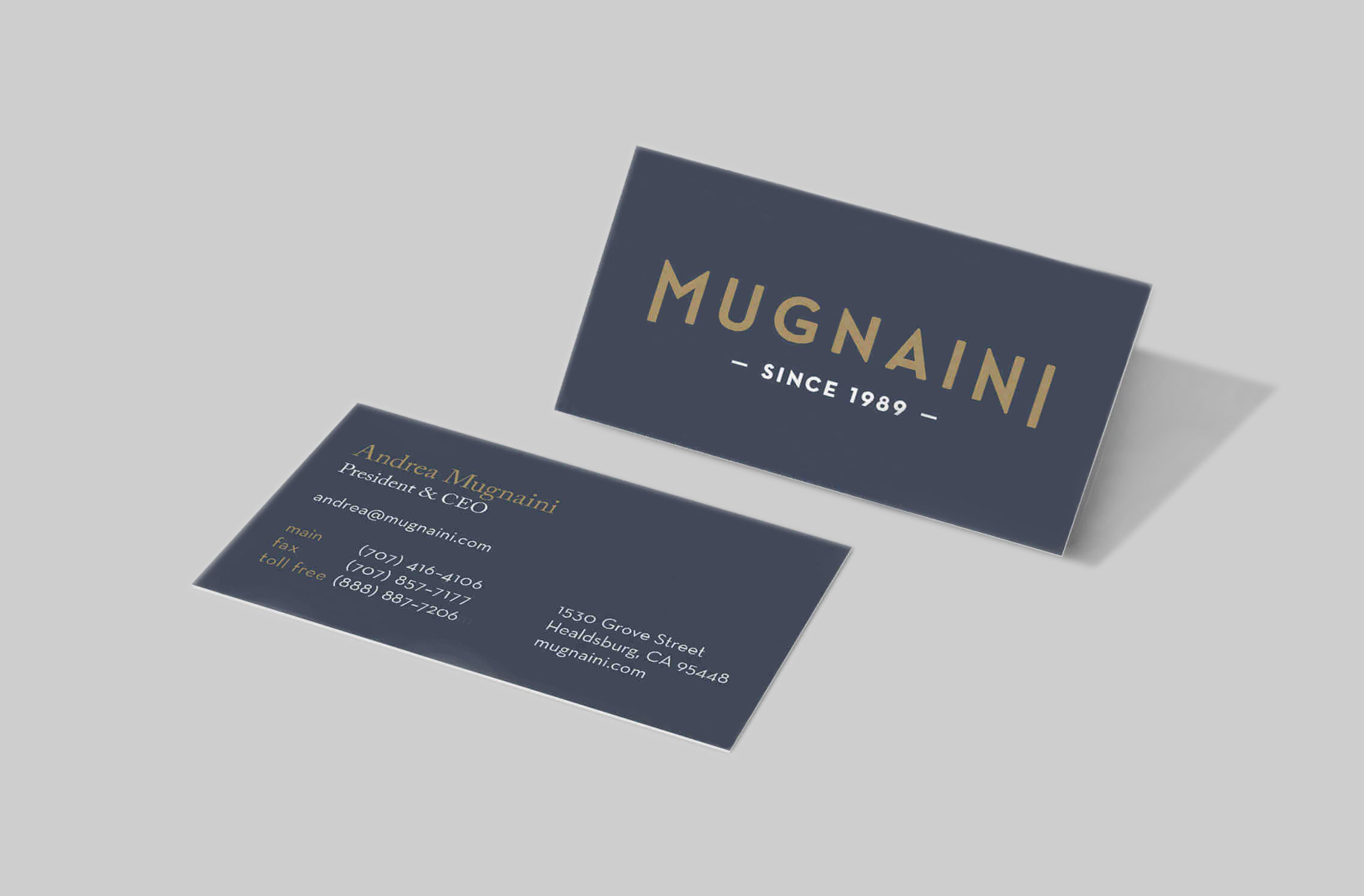 InfiniteSwell-Mugnaini-Business-Cards2